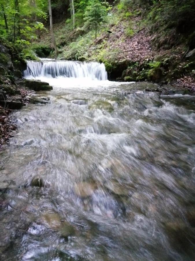 Chalpa Na Skarpie Villa Meszna Dış mekan fotoğraf