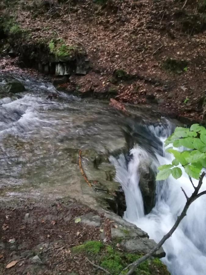 Chalpa Na Skarpie Villa Meszna Dış mekan fotoğraf