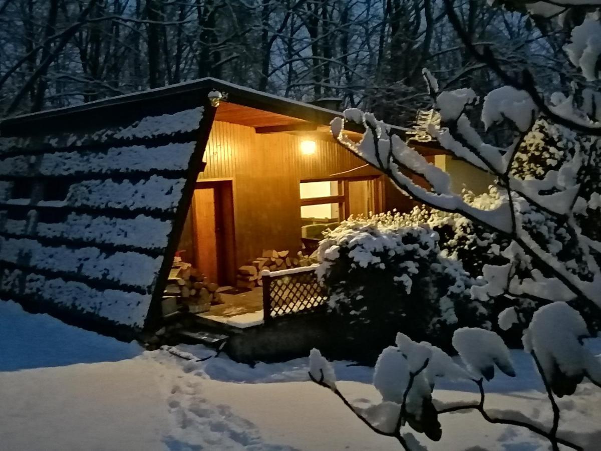 Chalpa Na Skarpie Villa Meszna Dış mekan fotoğraf