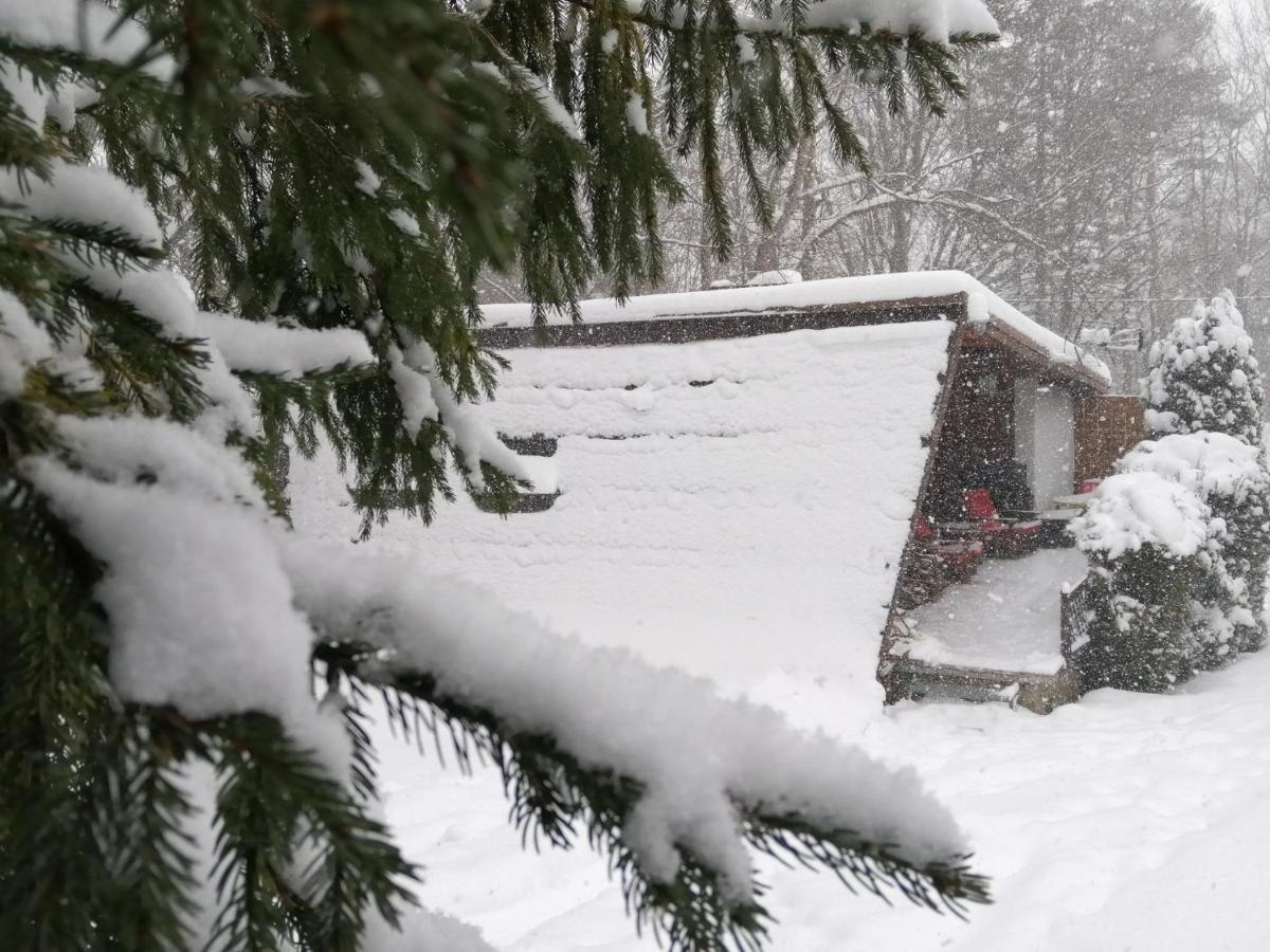 Chalpa Na Skarpie Villa Meszna Dış mekan fotoğraf